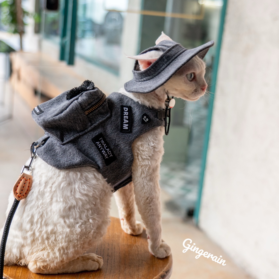Роскошная дорожная переноска д – обзор и цена Luxury Bags Cute